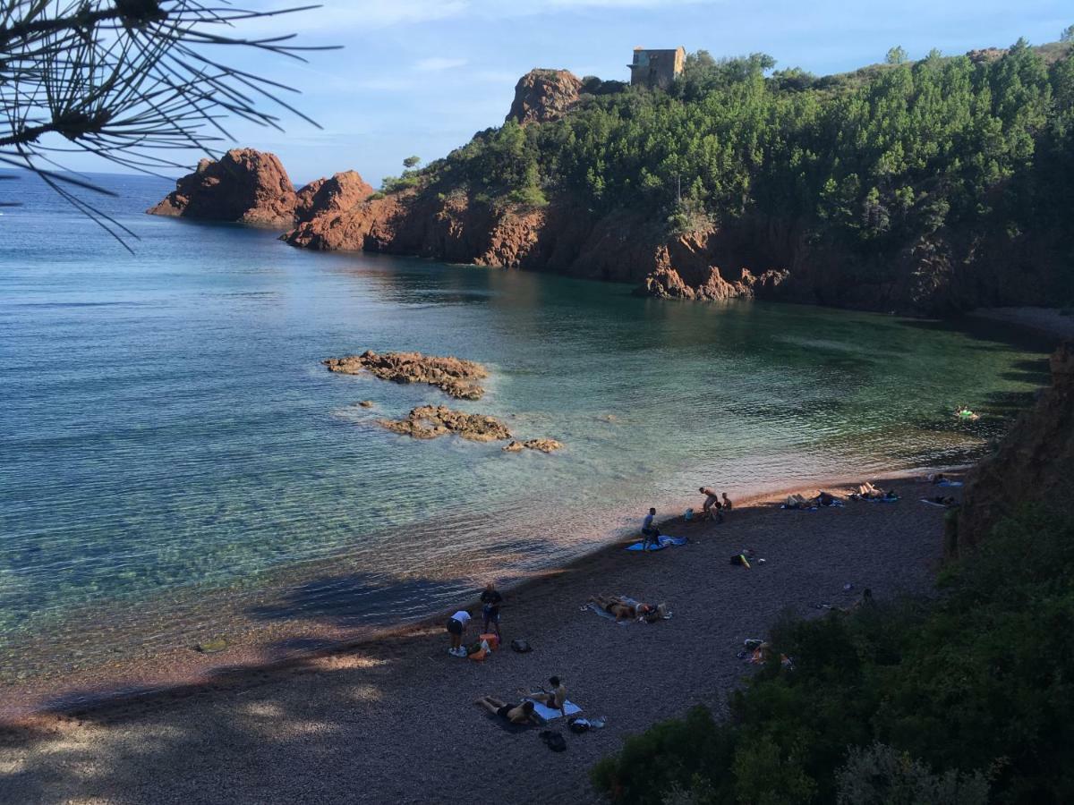 "Les Alizes" Cote Jardin Proche Bord De Mer Saint-Raphaël Buitenkant foto