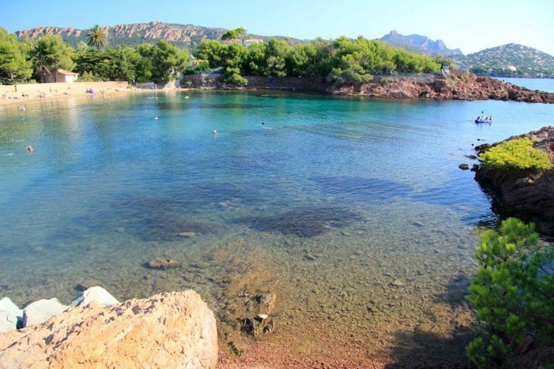 "Les Alizes" Cote Jardin Proche Bord De Mer Saint-Raphaël Buitenkant foto